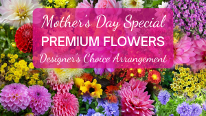 Mother's Day Special Premium Flowers Designer's Choice Arrangement