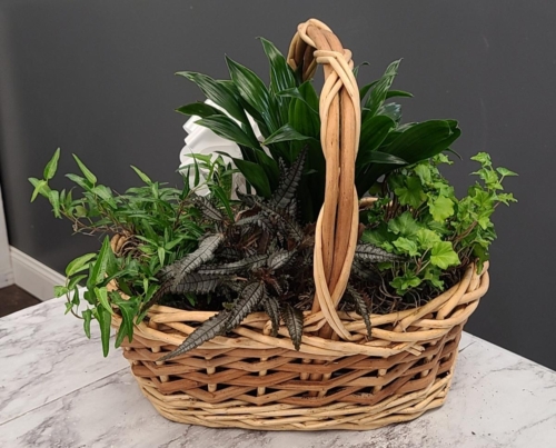 Plant Basket - Available in different sizes, call for more information.