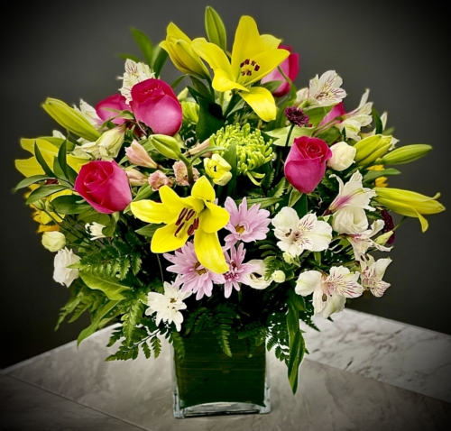 1026 - Spring Explosion
