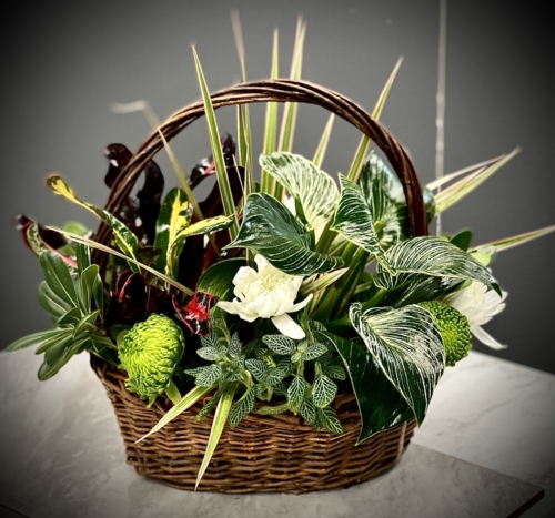 710 - Plant Basket