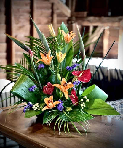 Birds of Paradise